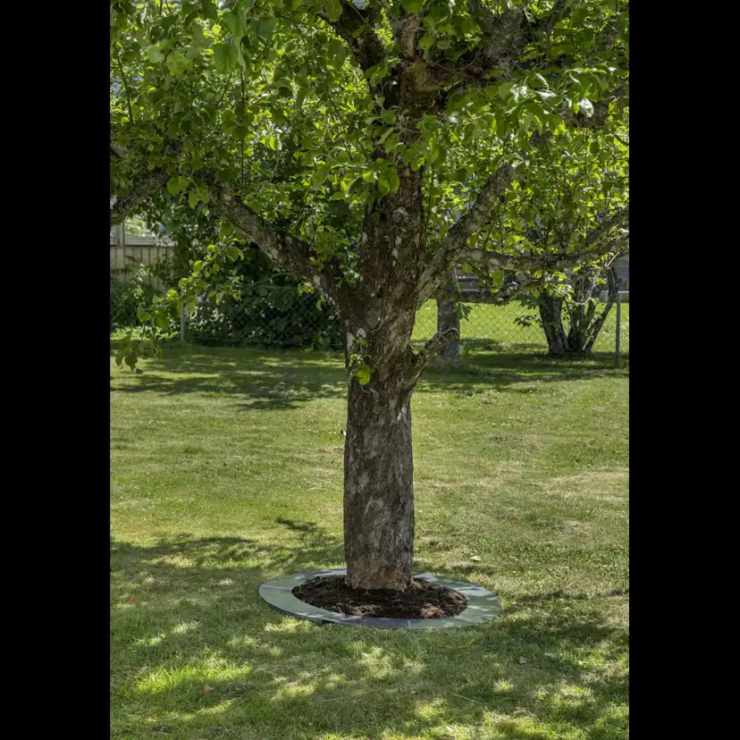 Rabattkant Skotte Garden Unik Rund 2-pack