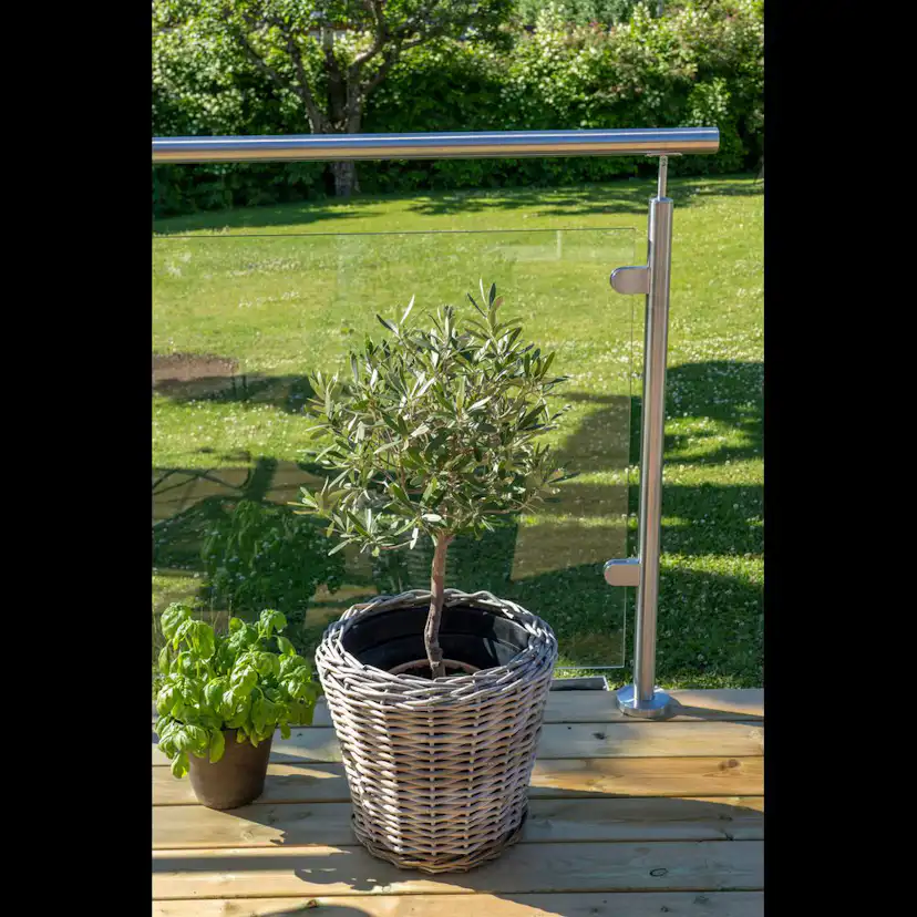 Glasskiva Skotte Garden Utsikt