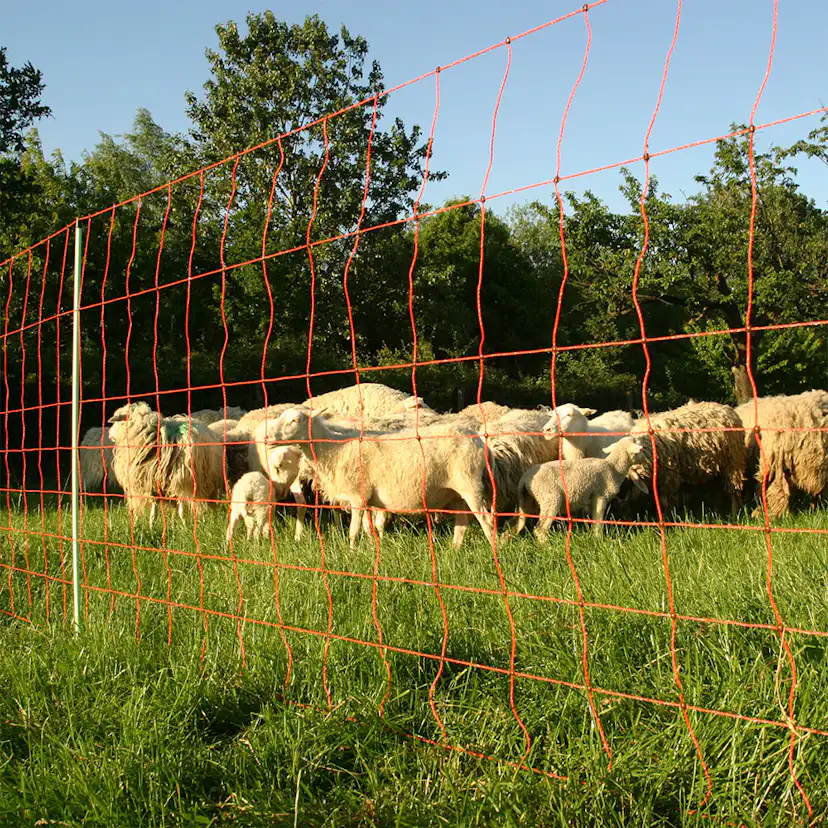 Elnät Swedguard Får med Dubbel Spets 105 cm