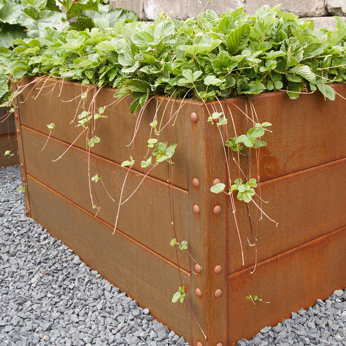 Odlingslåda Flexigarden Cortenplåt 2 mm 800x1200x600 mm