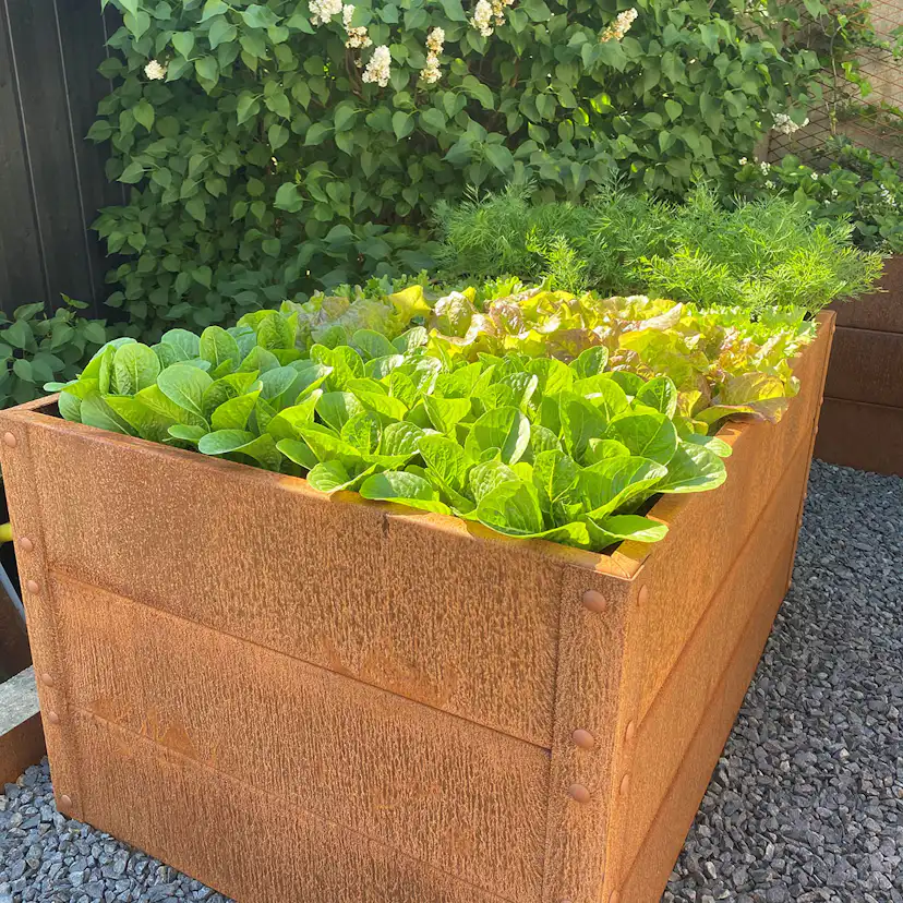 Odlingslåda Flexigarden Cortenplåt 2 mm 800x1200x600 mm