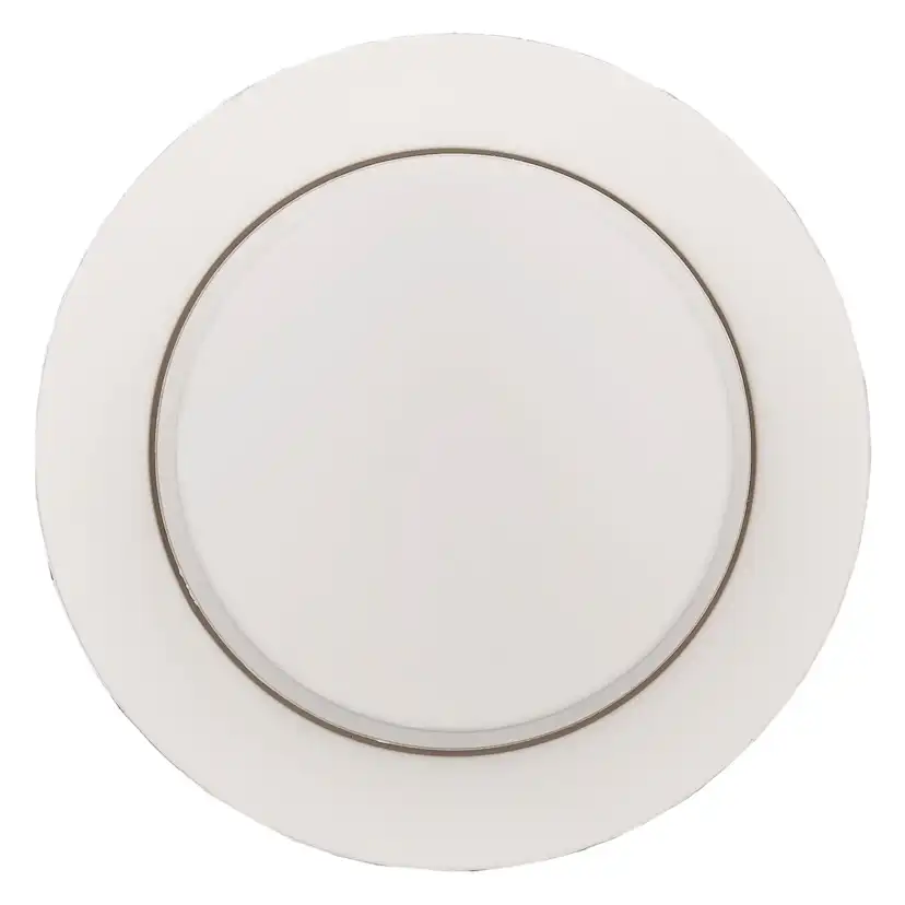 Ratt till Dimmer Schneider Electric Renova för Centrumplatta