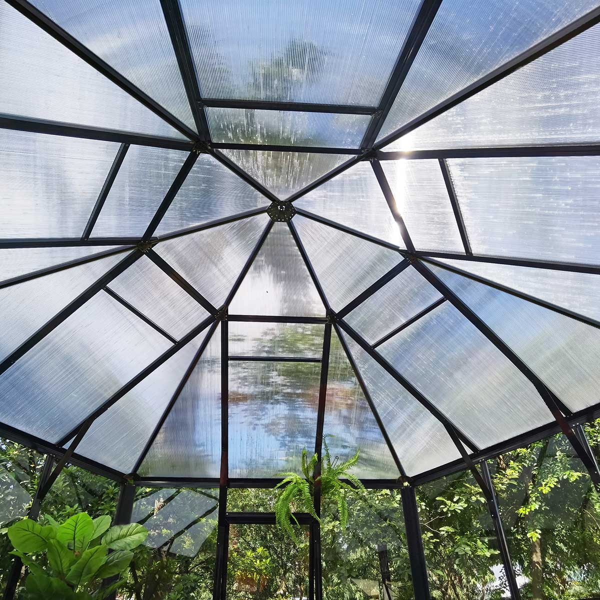 Växthus/Orangeri Metalcraft Hexagon Svart Aluminiumstomme med UV-Skyddat & Härdat Säkerhetsglas, 12,6 m²