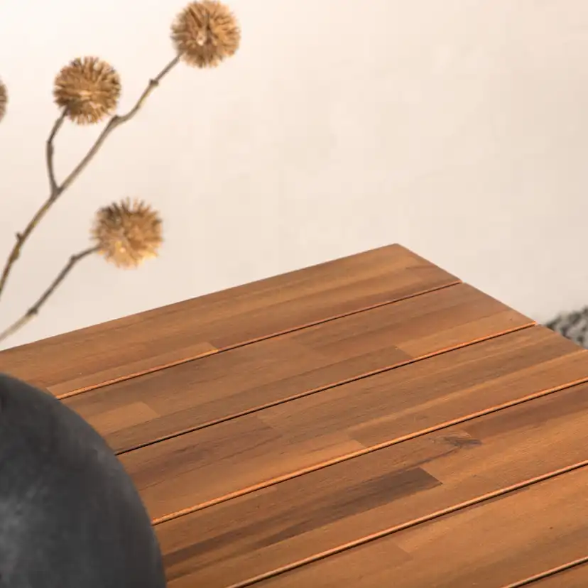 Utebord Venture Home Chan