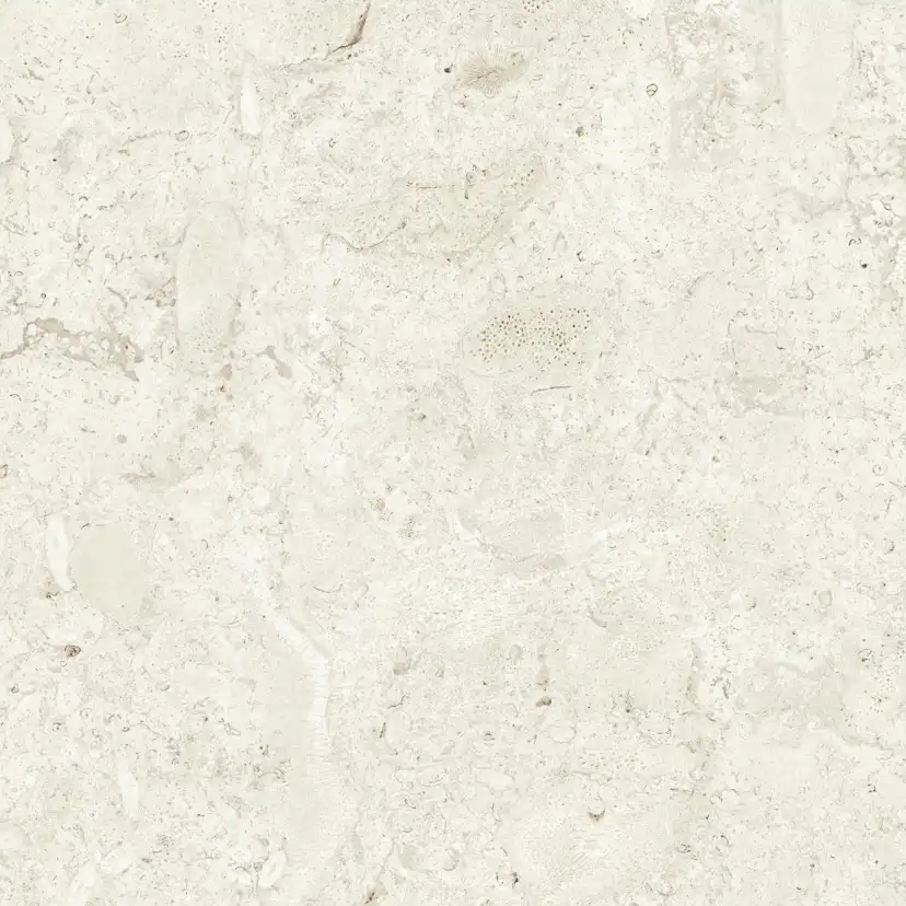 Klinker Tenfors Coralina Bone Matt 60x60 cm