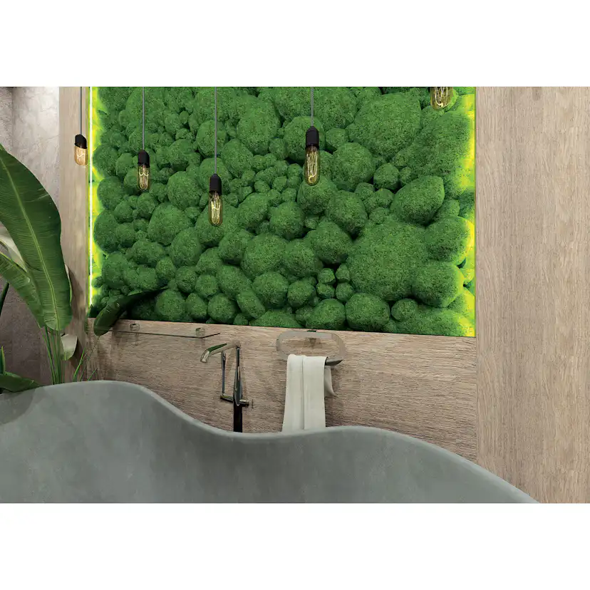 Glashylla Bemeta Organic