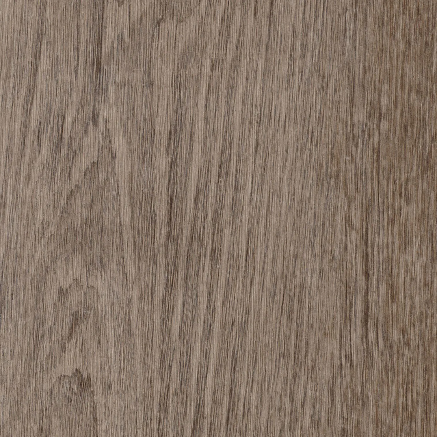 Vinylgolv Forbo Enduro Click med Klickfunktion Natural grey oak/Grå