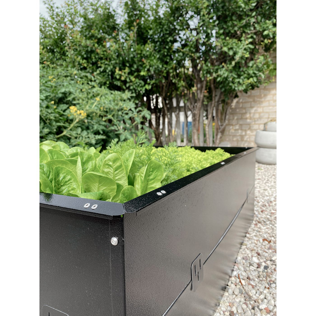 Snigelkant Jabo Odla Halvpallskrage 80x60 cm