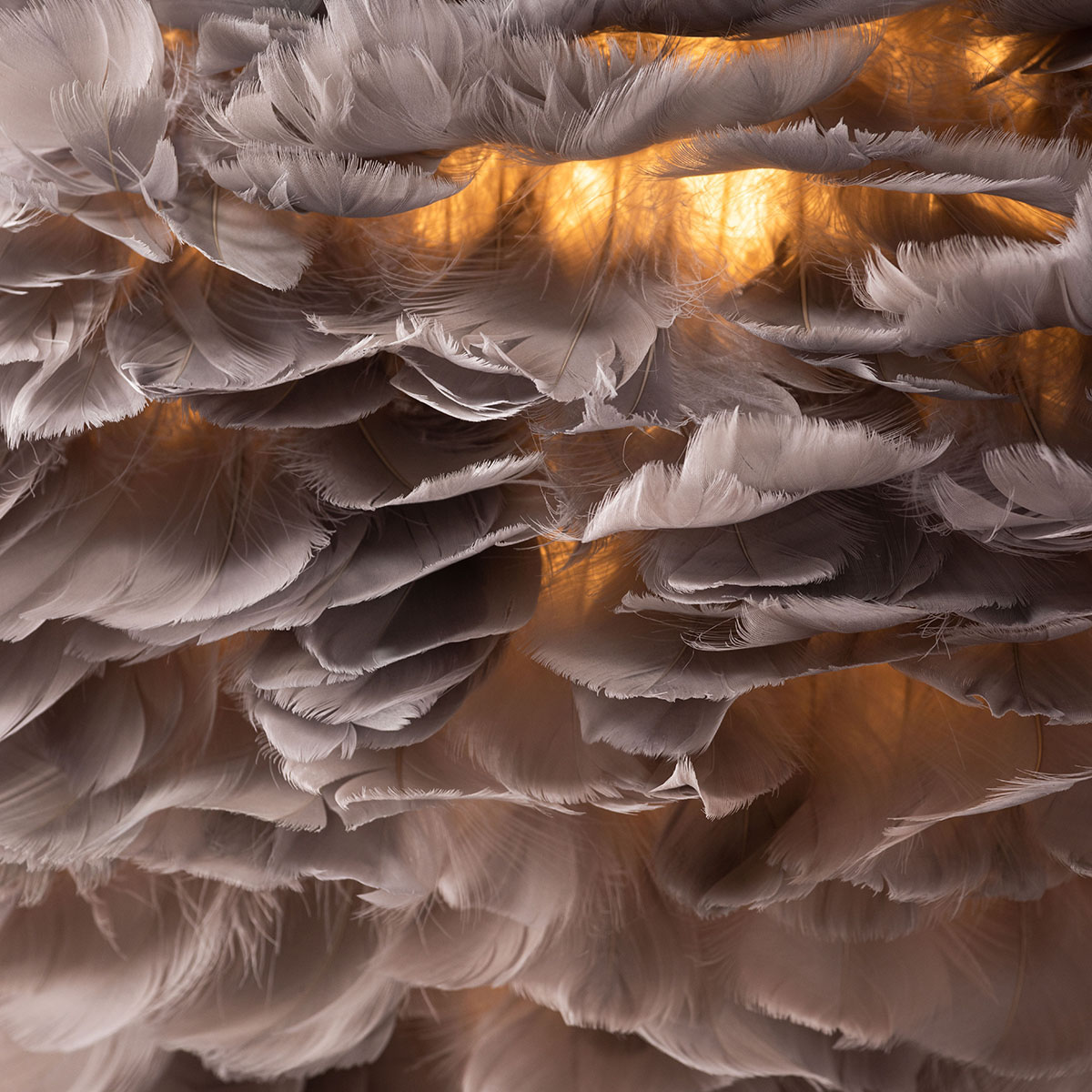 Taklampa Venture Home Nicola - Xlarge