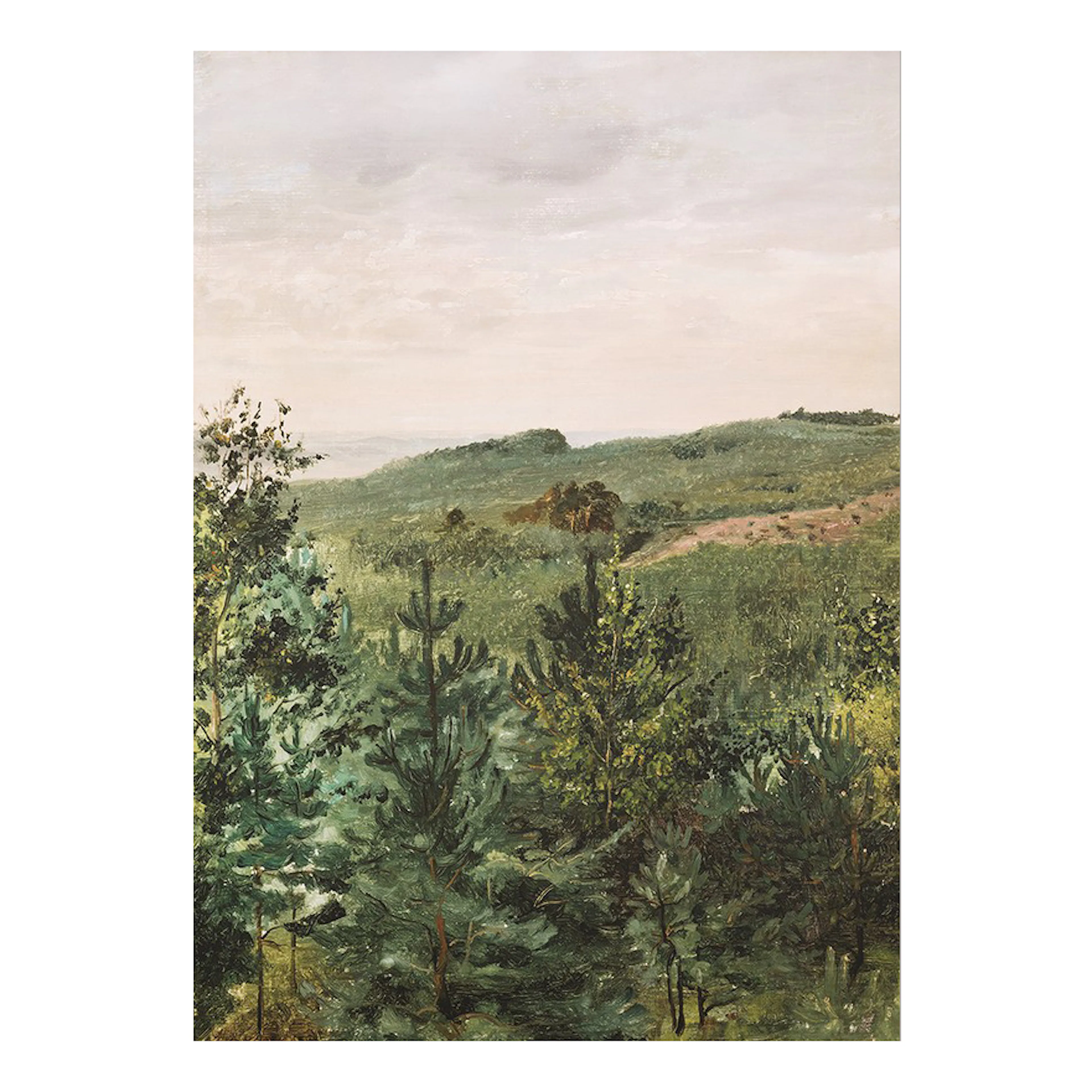 Poster Gallerix Spruce Saplings in Sandy Soil Study By Werner Holmberg