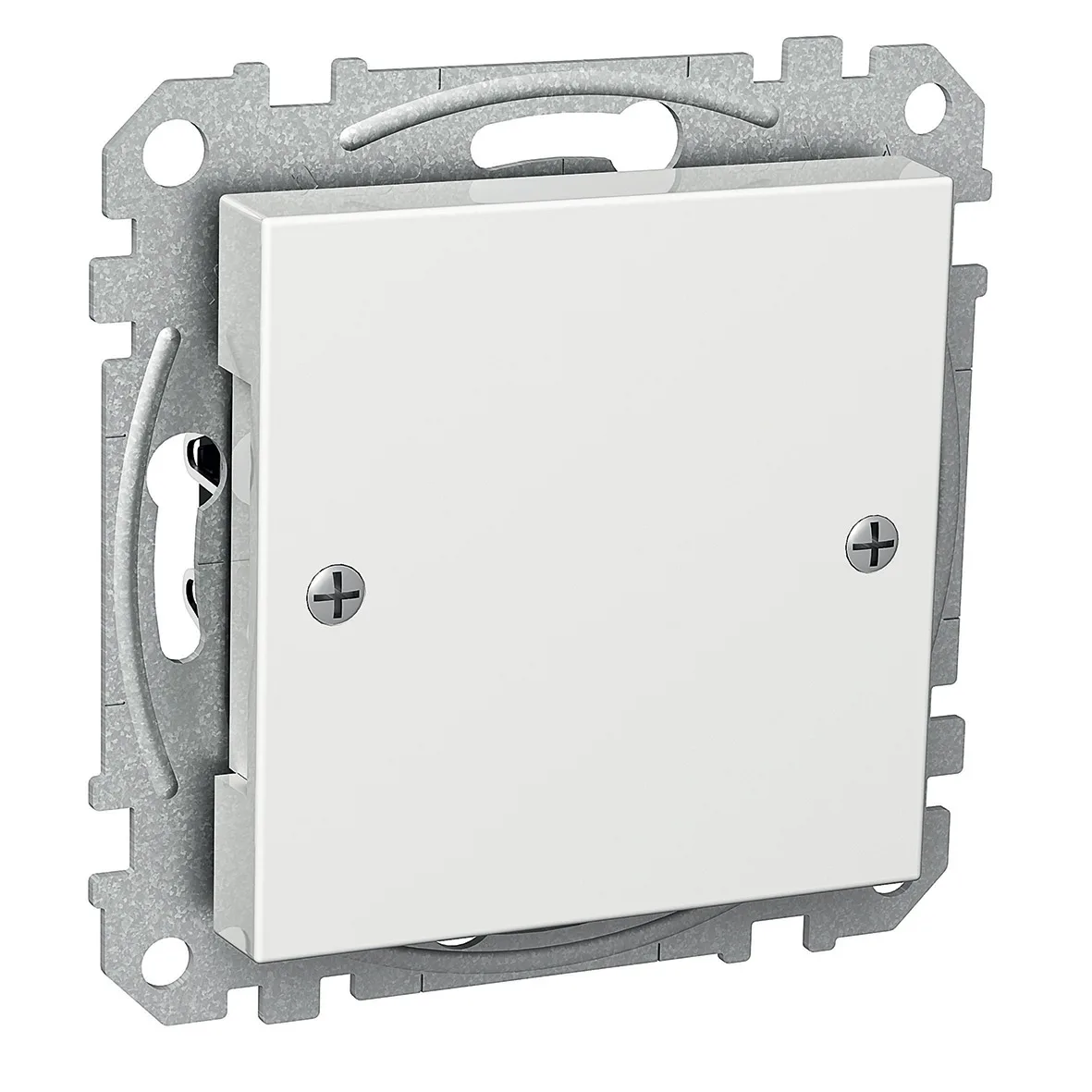 Centrumplatta Schneider Electric Exxact