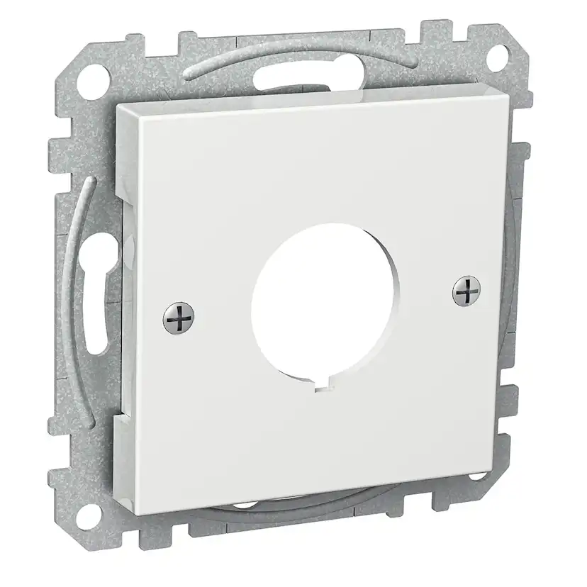 Centrumplatta Schneider Electric Exxact för Nyckelbrytare