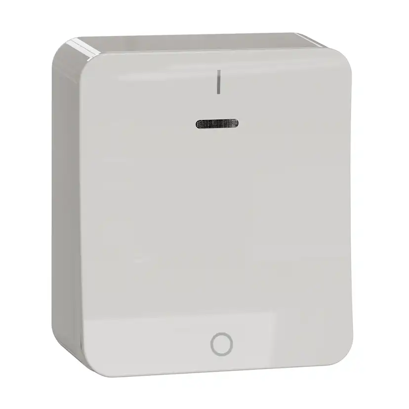 Strömbrytare Schneider Electric Exxact 2-pol Snabbanslutning