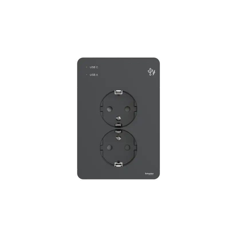 Vägguttag Schneider Electric Exxact Primo Infälld 2-vägs 2x USB A+C Jordat