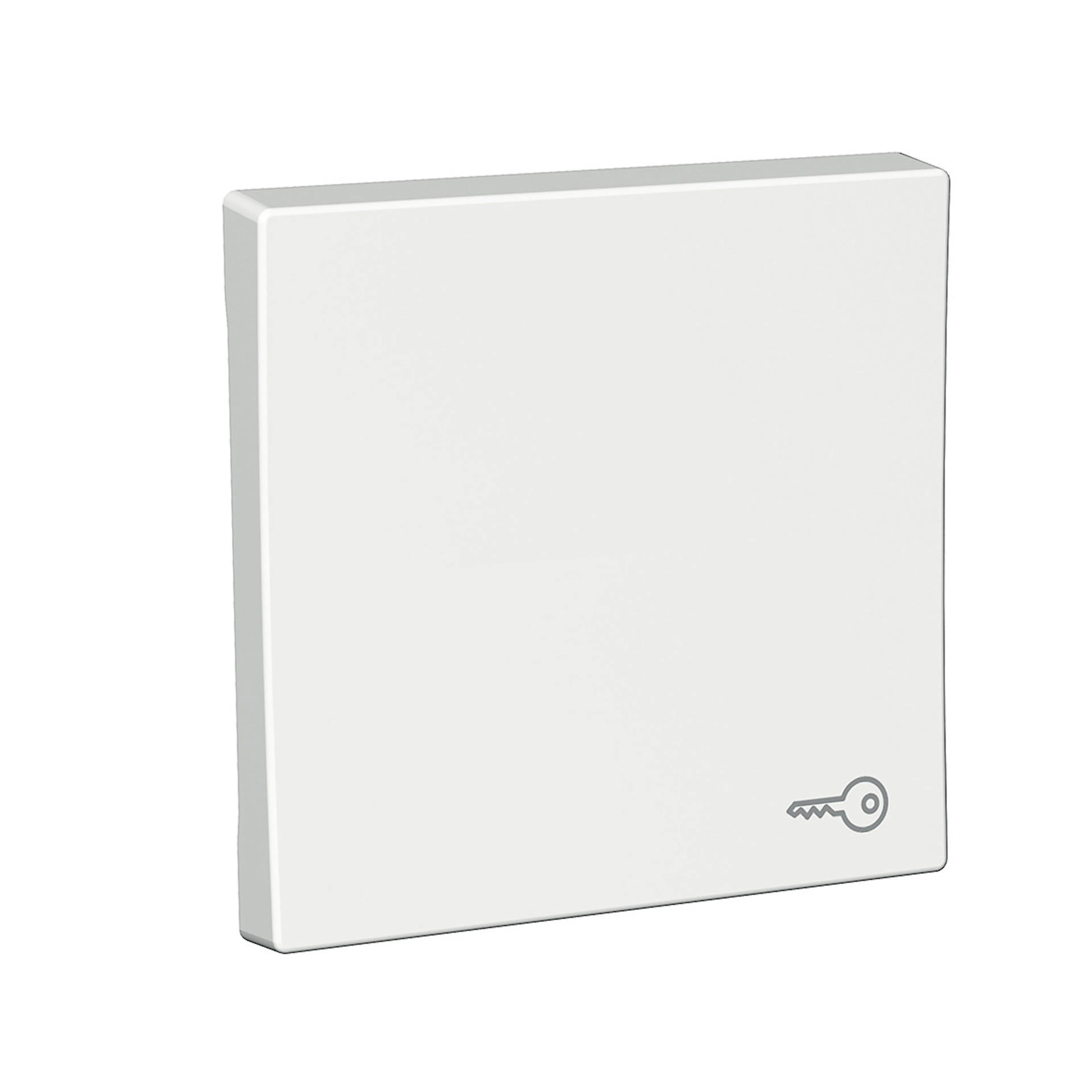 Strömbrytare Schneider Electric Exxact Nyckelsymbol