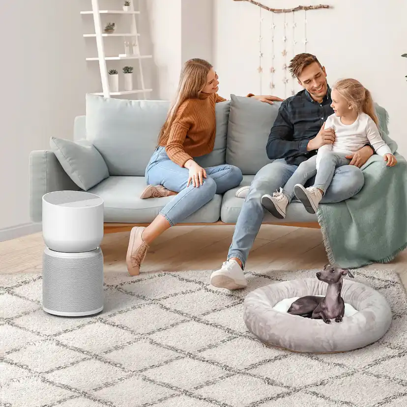 Luftrenare TCL Breeva A3WW