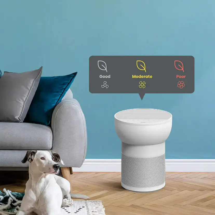 Luftrenare TCL Breeva A2WW