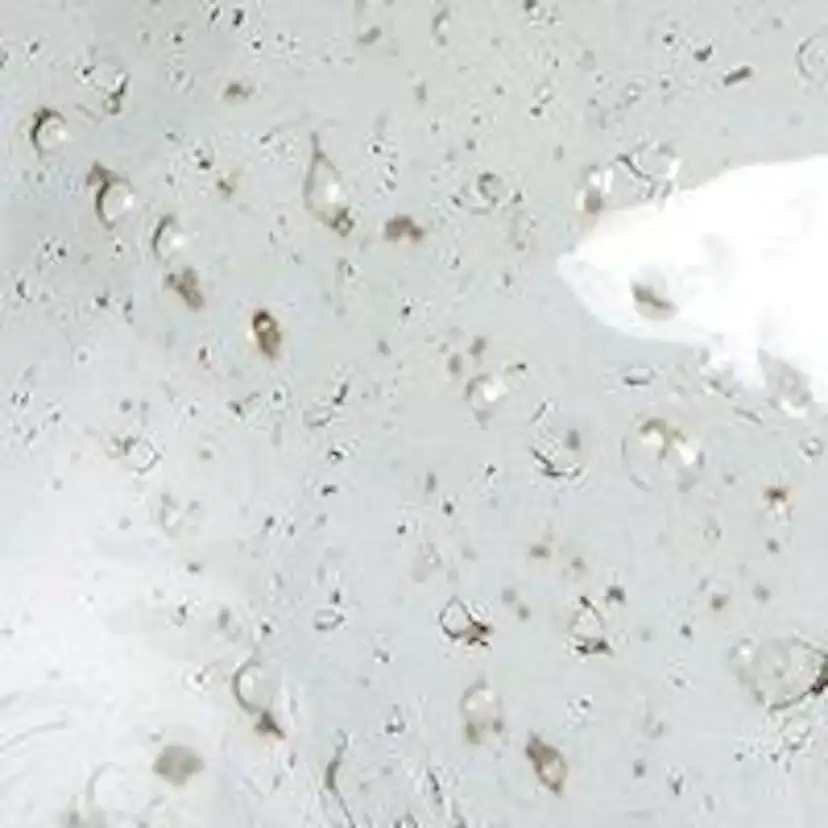 Bordslampa PR Home Groove