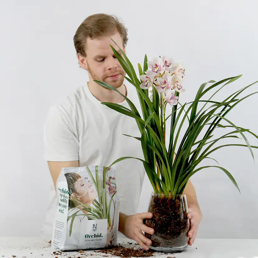 Orkidéjord Nelson Garden 4L