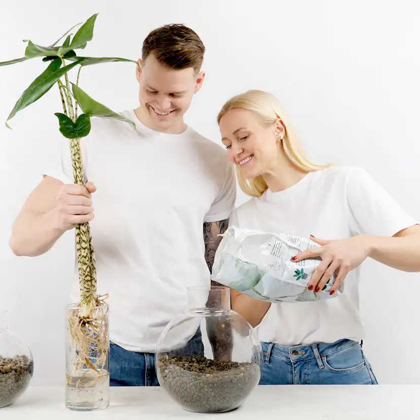 Lecakulor Nelson Garden 4L