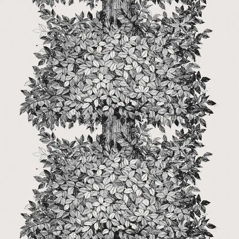 Tapet Boråstapeter Viola Gråsten Hassel 1950