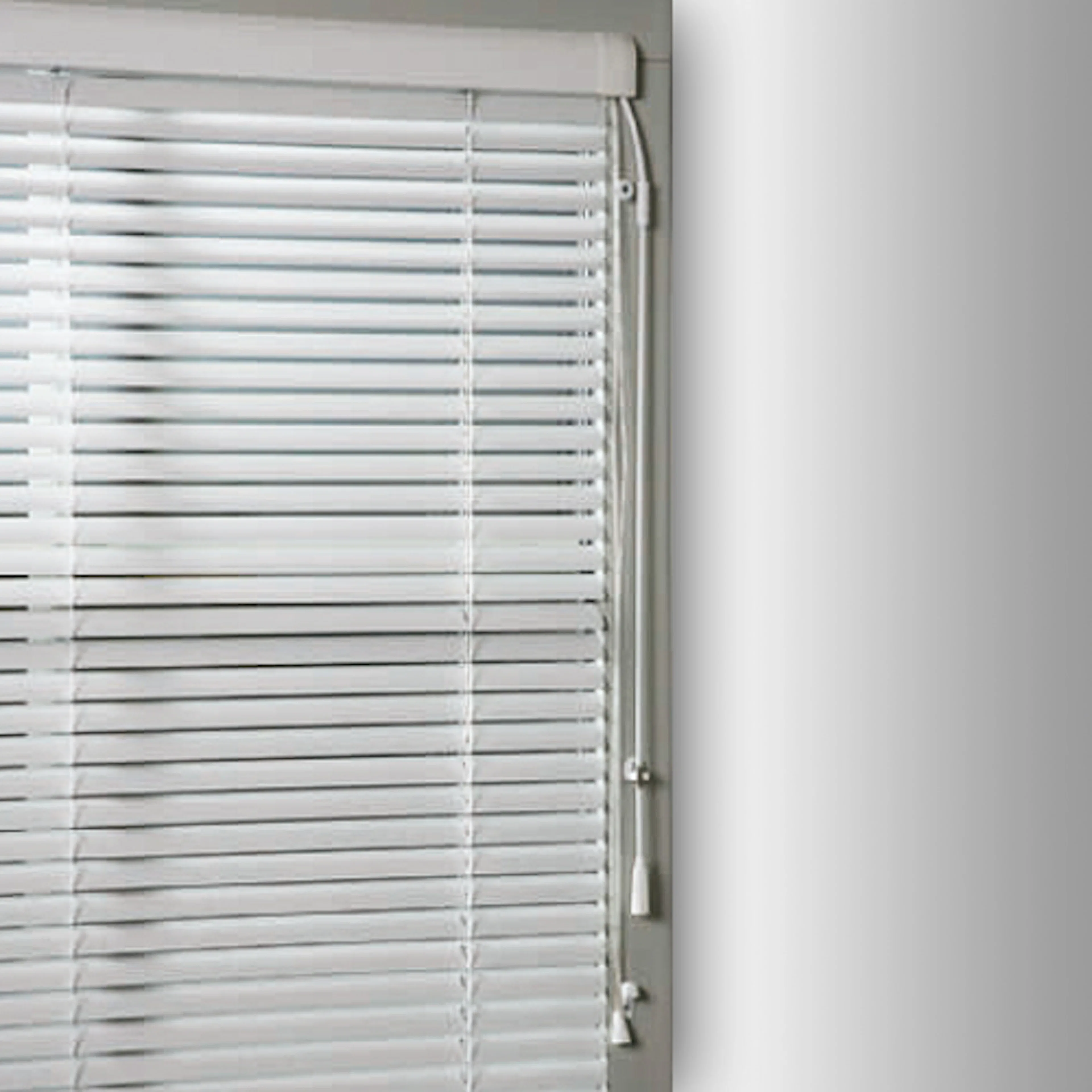 Insynsskydd fönster