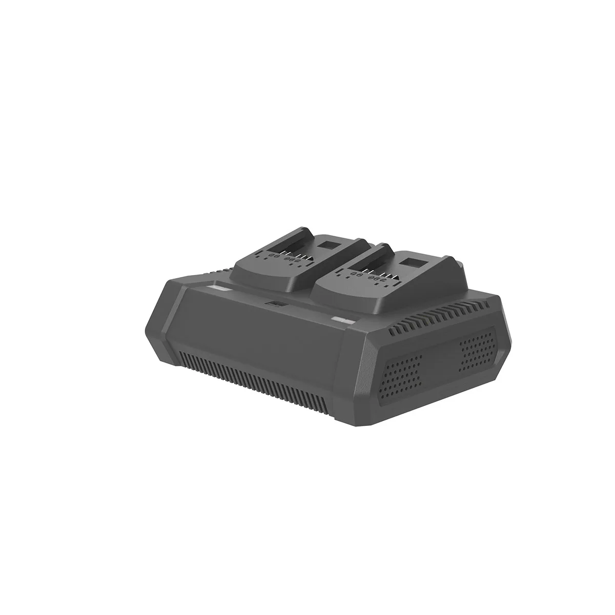 Batteriladdare Yardforce 120-240V Dubbel