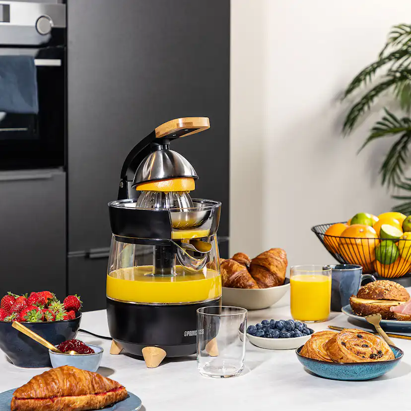 Juicepress Princess Luxurious Design 300W