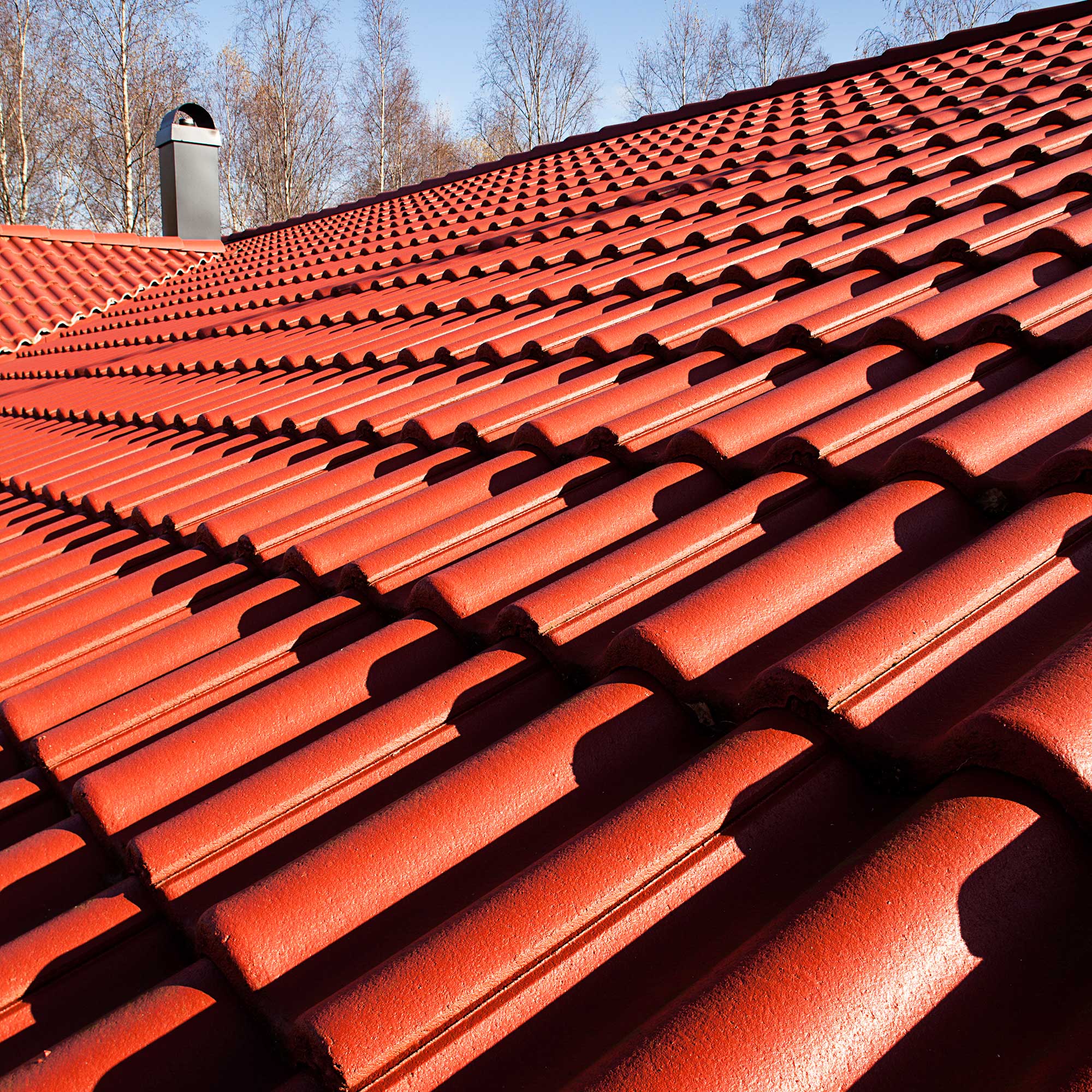 Tvåkupig Takpanna S:t Eriks Mjöbäck Blank