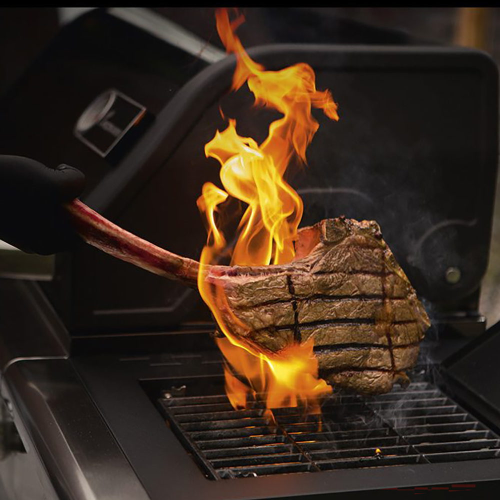 Gasolgrill Landmann Triton 4.1 maxX Svart 12968