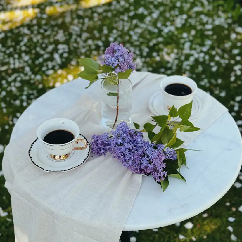 Bord Hillerstorp Krögaren Ø60 cm 10-pack