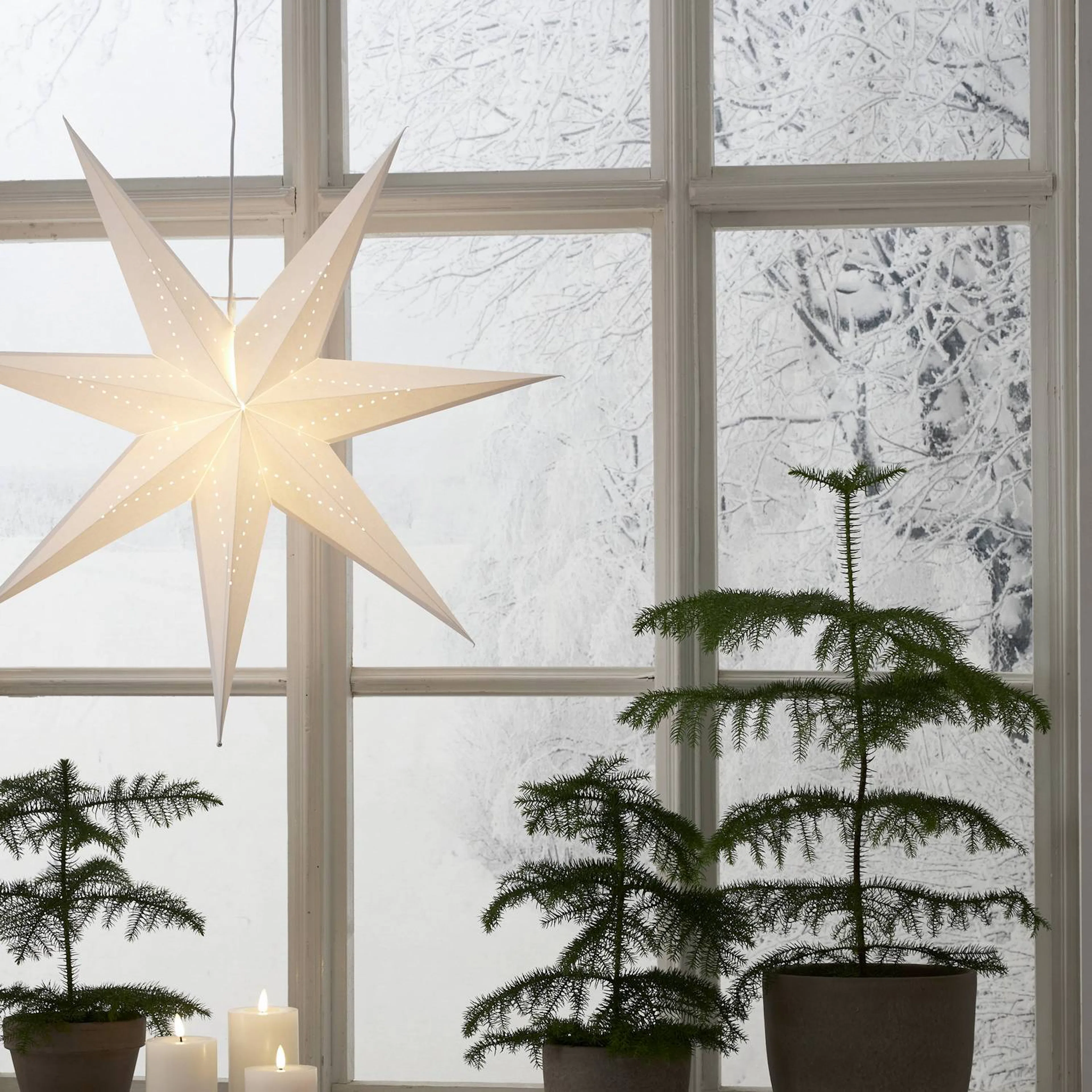 Adventsstjärna Star Trading LYSA Papperstjärna