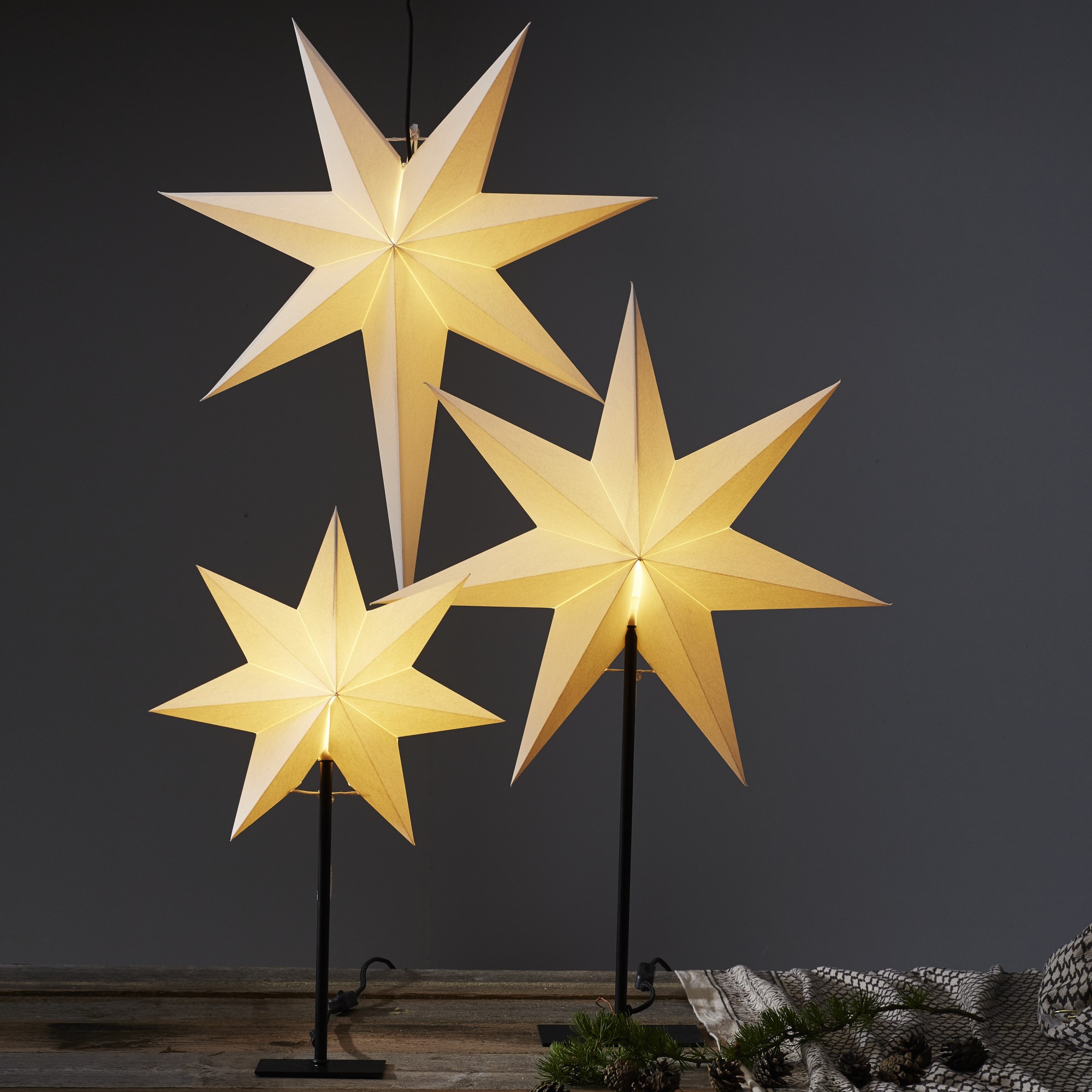 Adventsstjärna Star Trading Frozen Stående