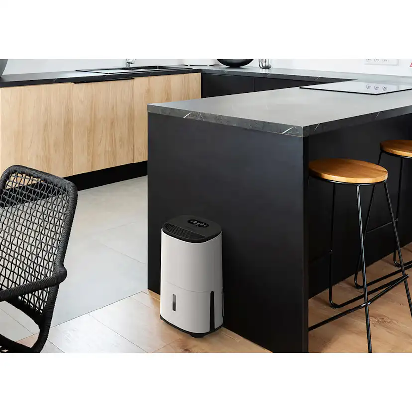 Avfuktare och Luftrenare Meaco MeacoDry Arete One 10L