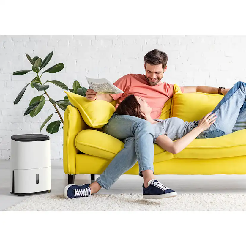 Avfuktare och Luftrenare Meaco MeacoDry Arete One 12L