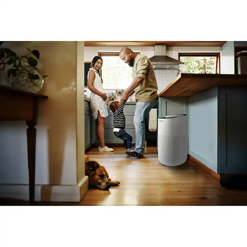 Luftrenare Meaco MeacoClean CA-HEAP 76x5