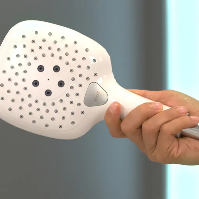 Handdusch Hansgrohe Raindance Select