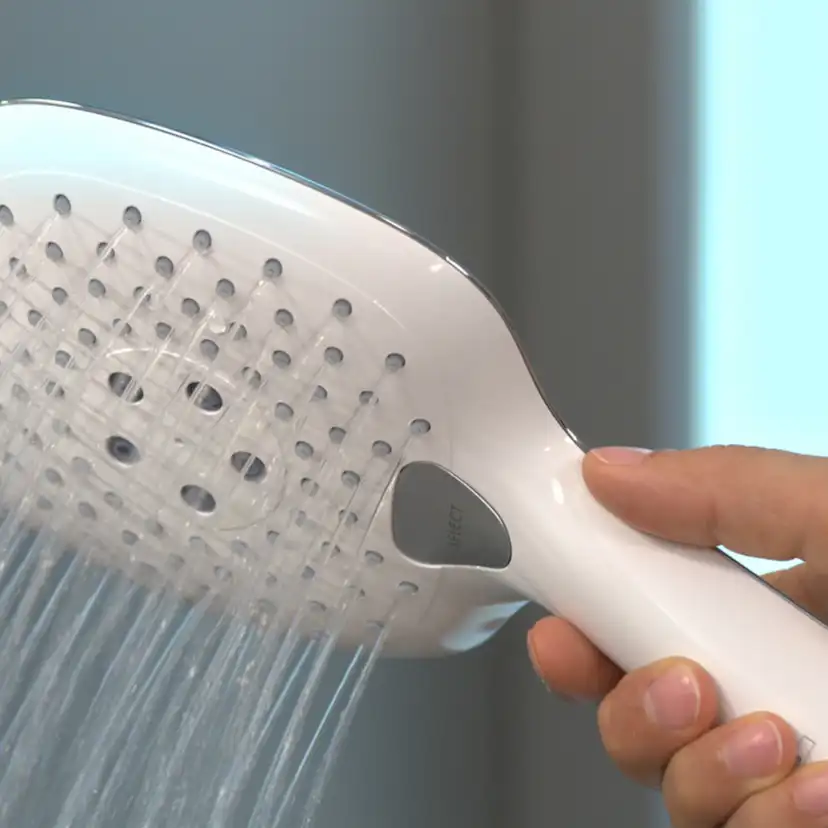 Handdusch Hansgrohe Raindance Select