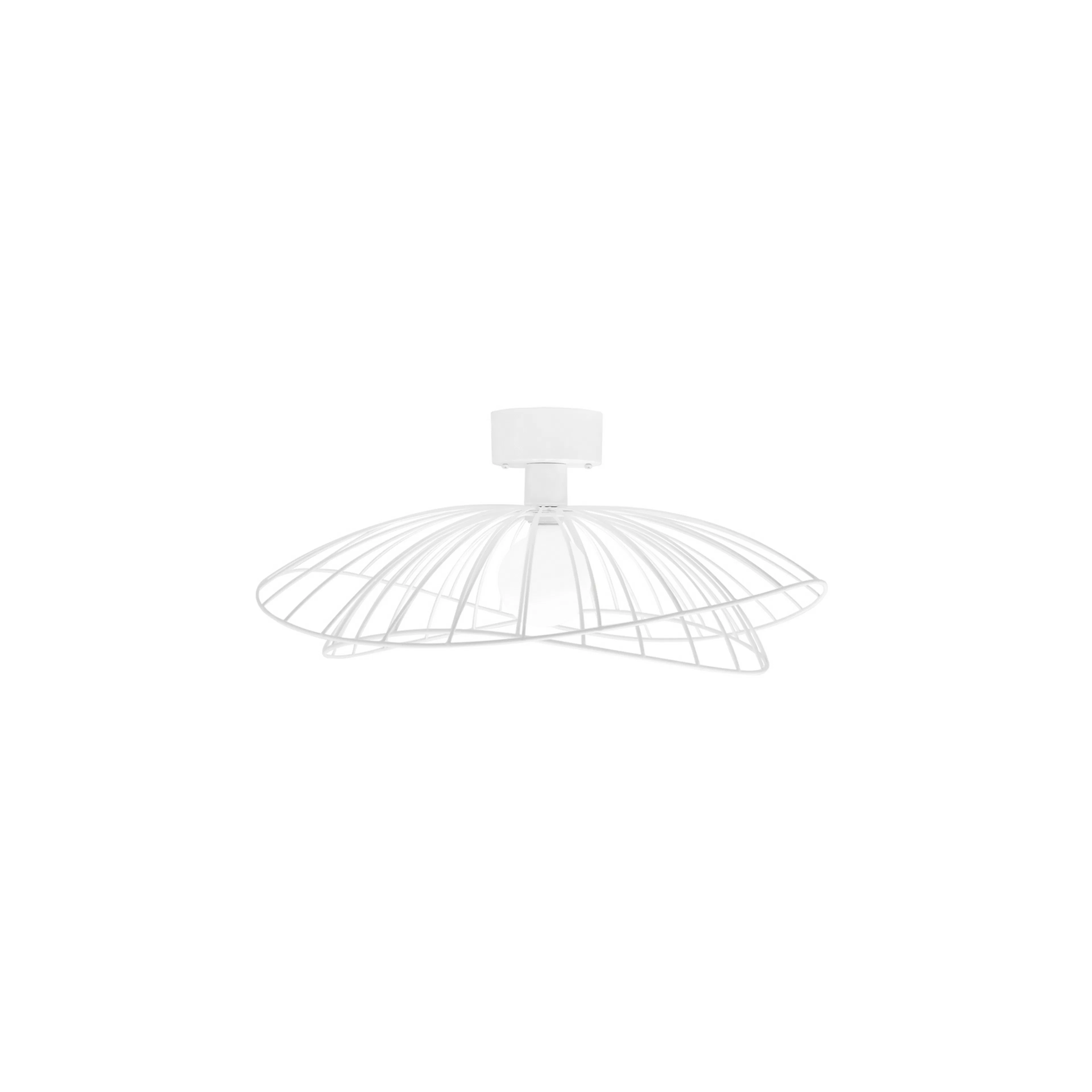 Tak/Vägglampa Globen Lighting Ray Vit