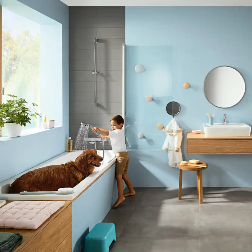 Handdusch Hansgrohe Croma Select S Multi