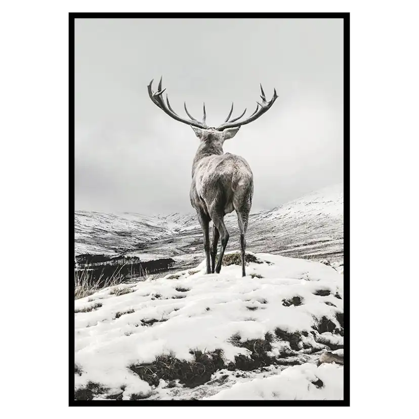 Poster Gallerix Winter Roe Deer
