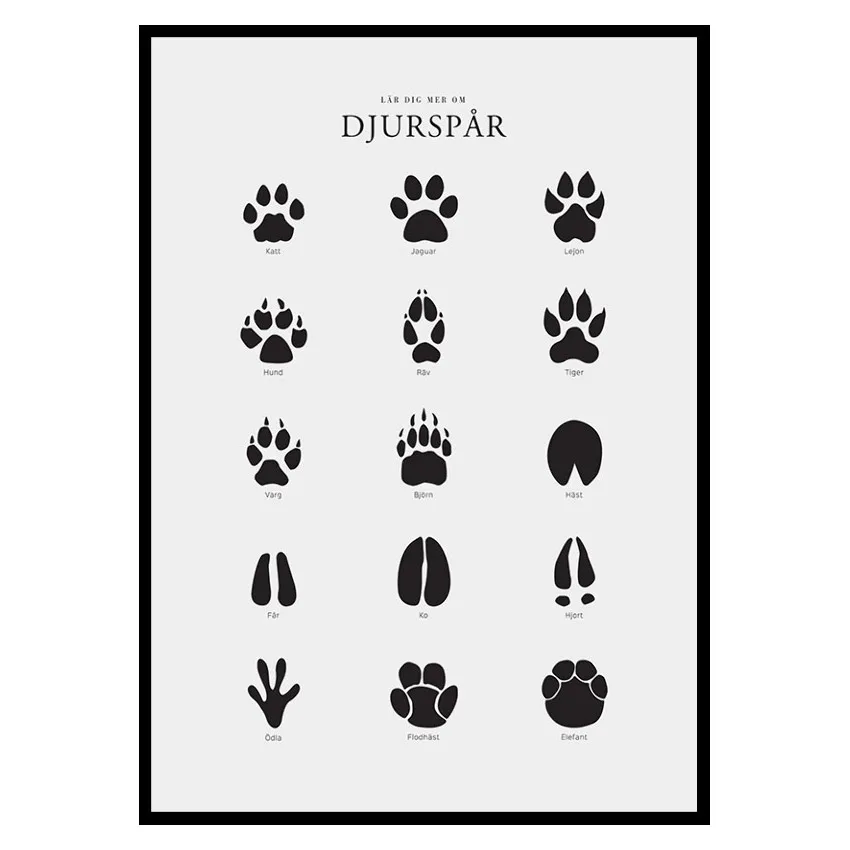 Poster Gallerix Djurspår