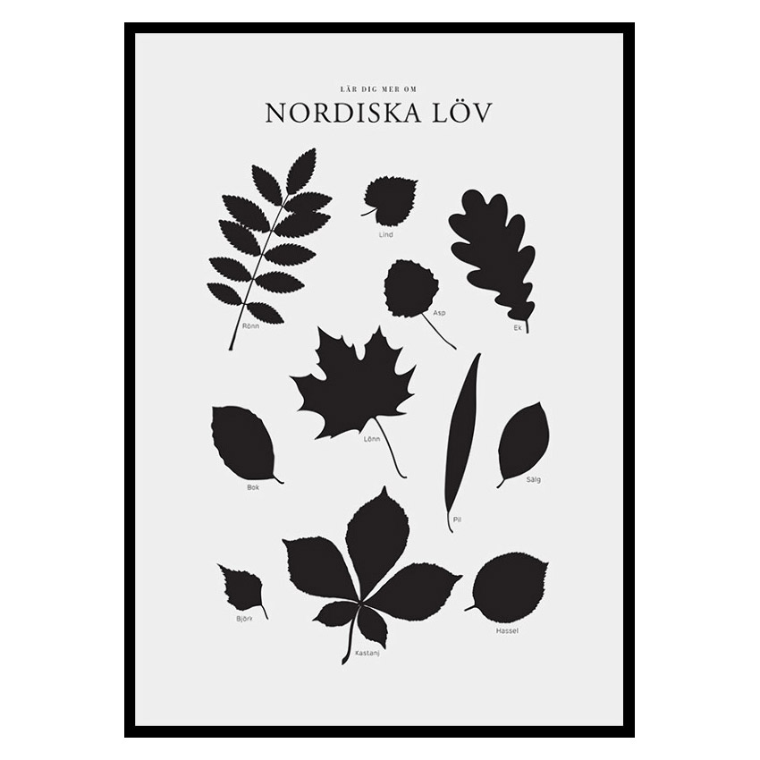 Poster Gallerix Nordiska Löv