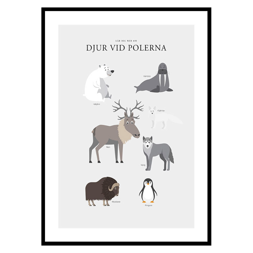 Poster Gallerix Djur Vid Polerna