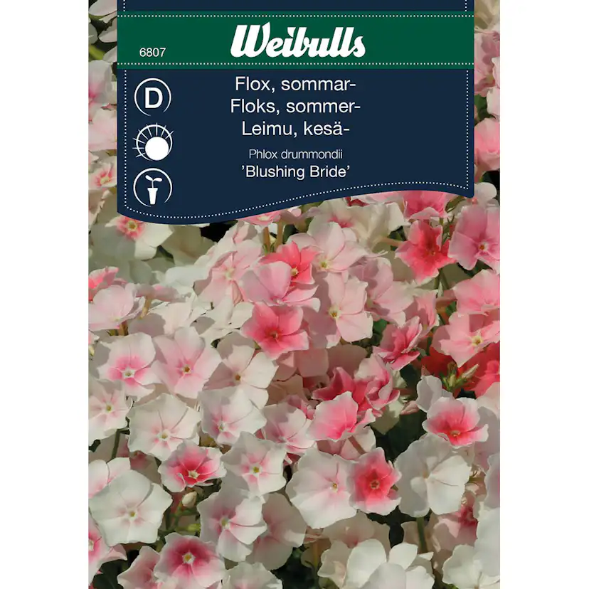 Frö Flox Weibulls Blushing Bride