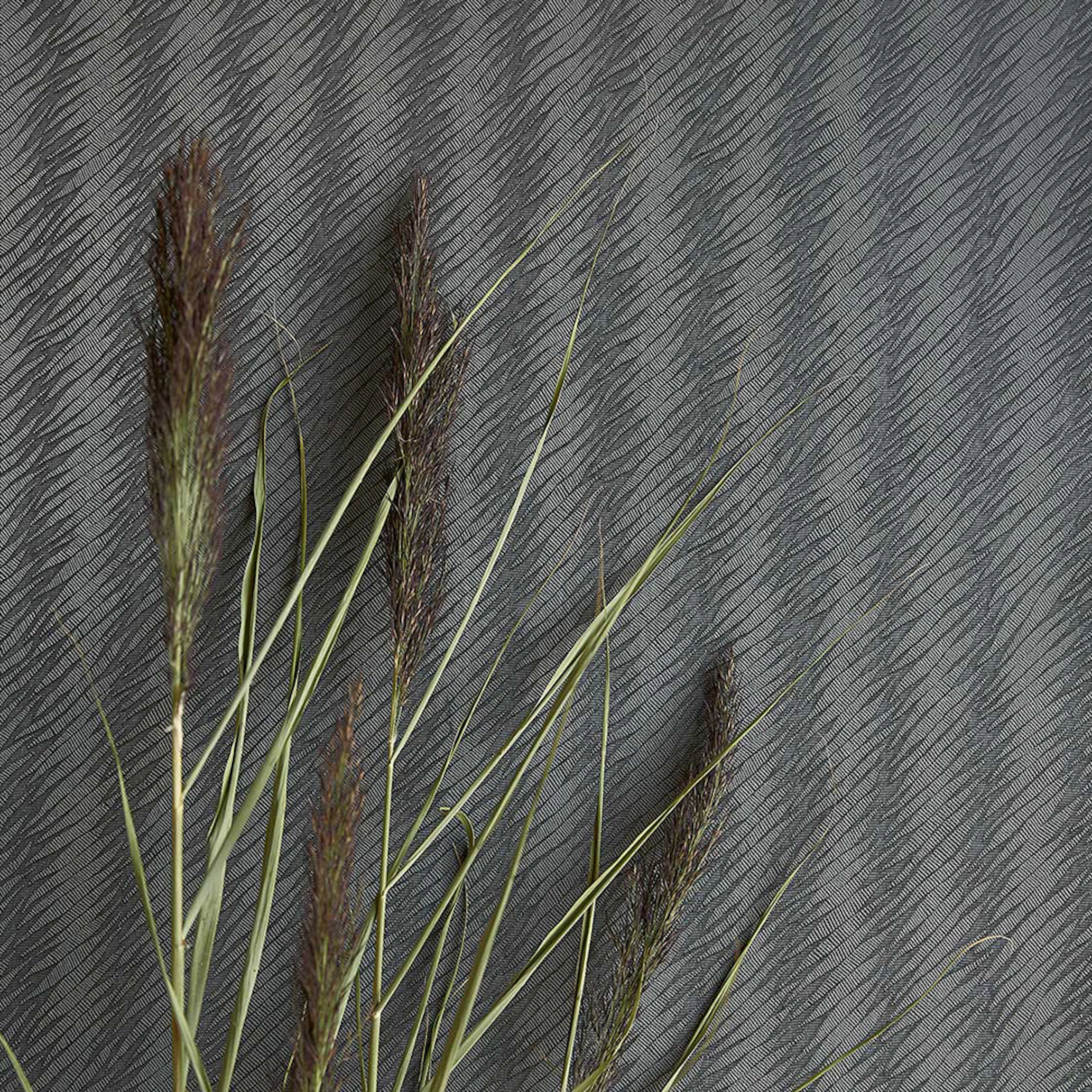 Tapet Eijffinger Waterfront 300845