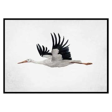 Poster Gallerix Watercolor Stork