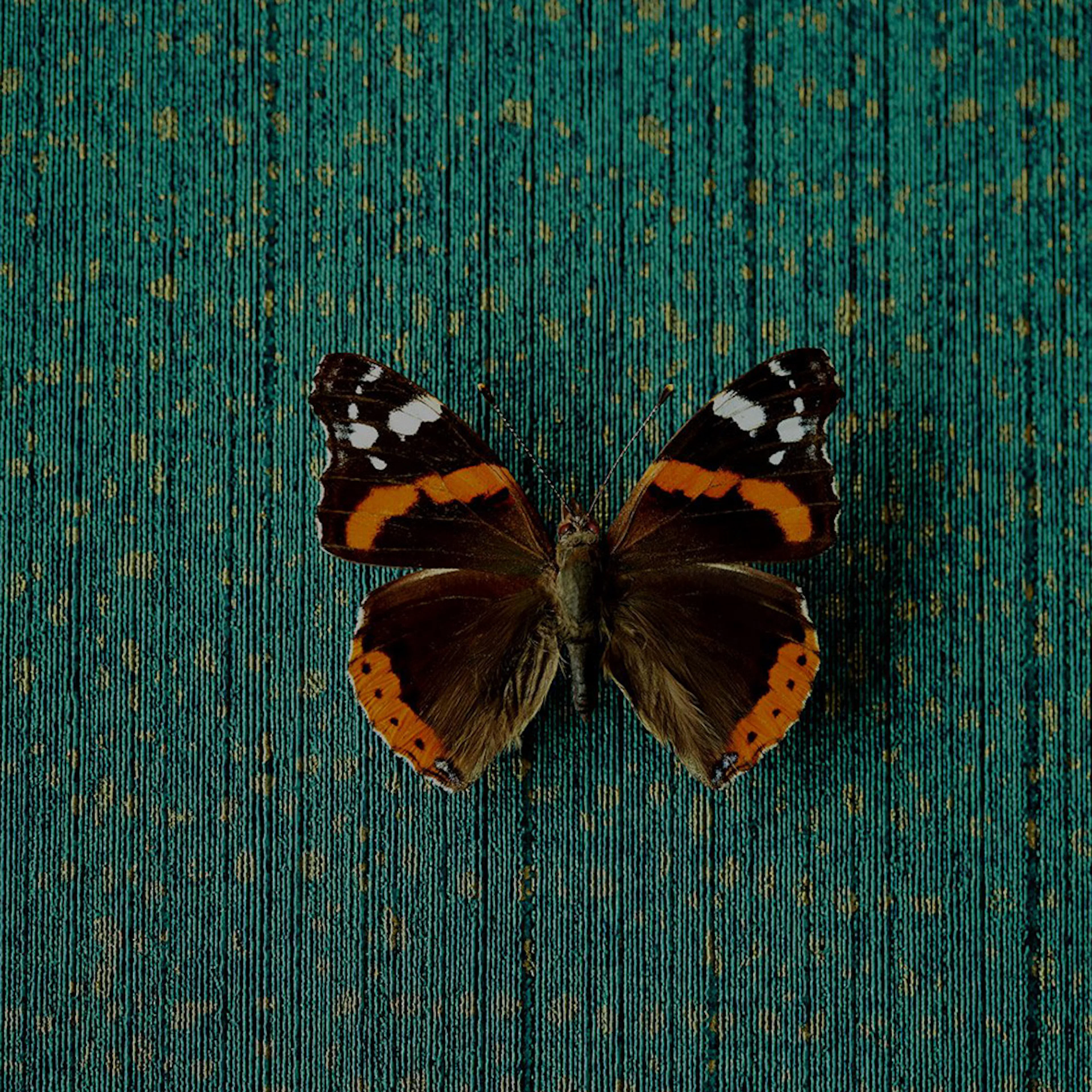 Tapet Eijffinger Unify  333266