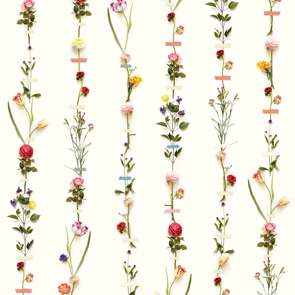 Fototapet Eijffinger PIP 2014 341087