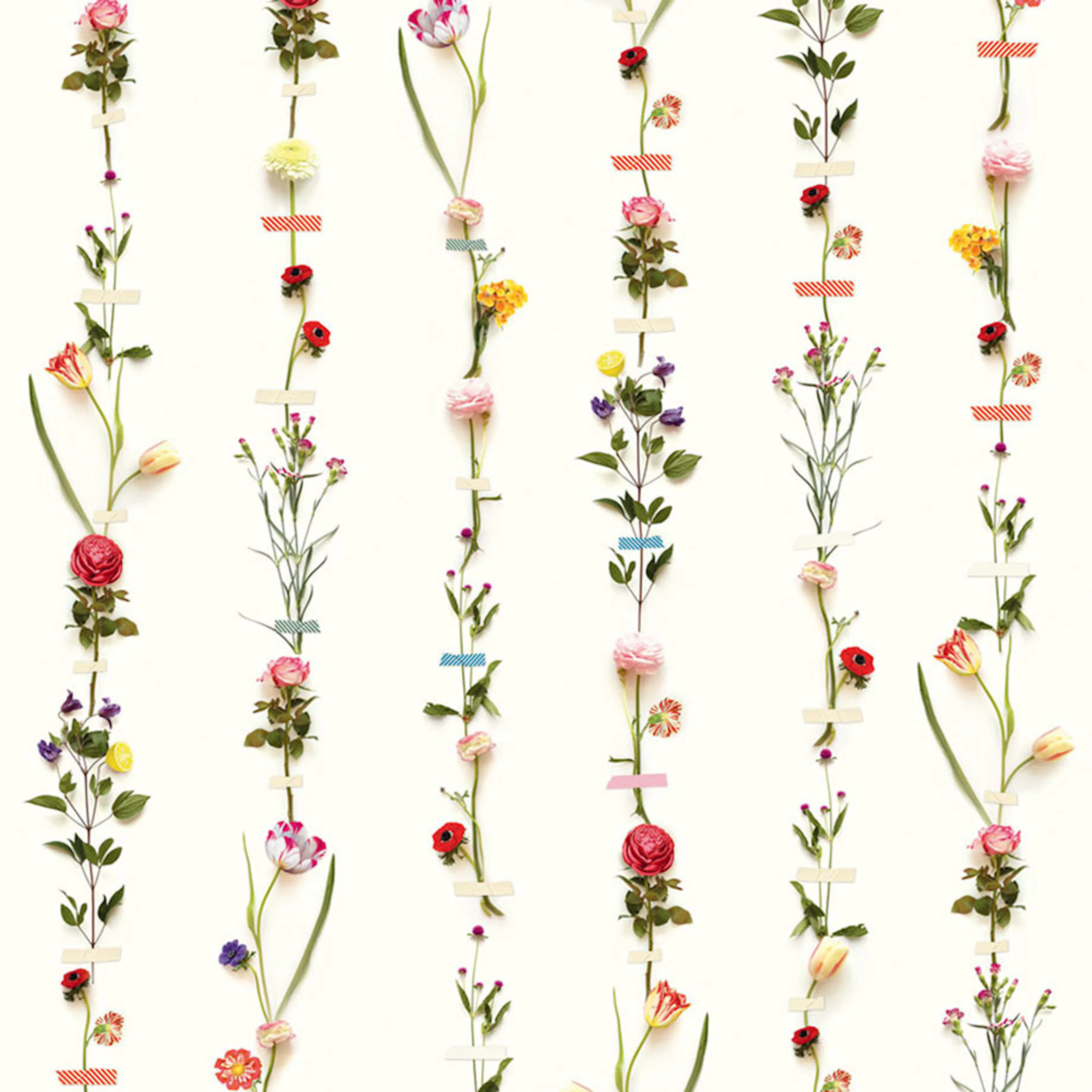 Fototapet Eijffinger PIP 2014 341087